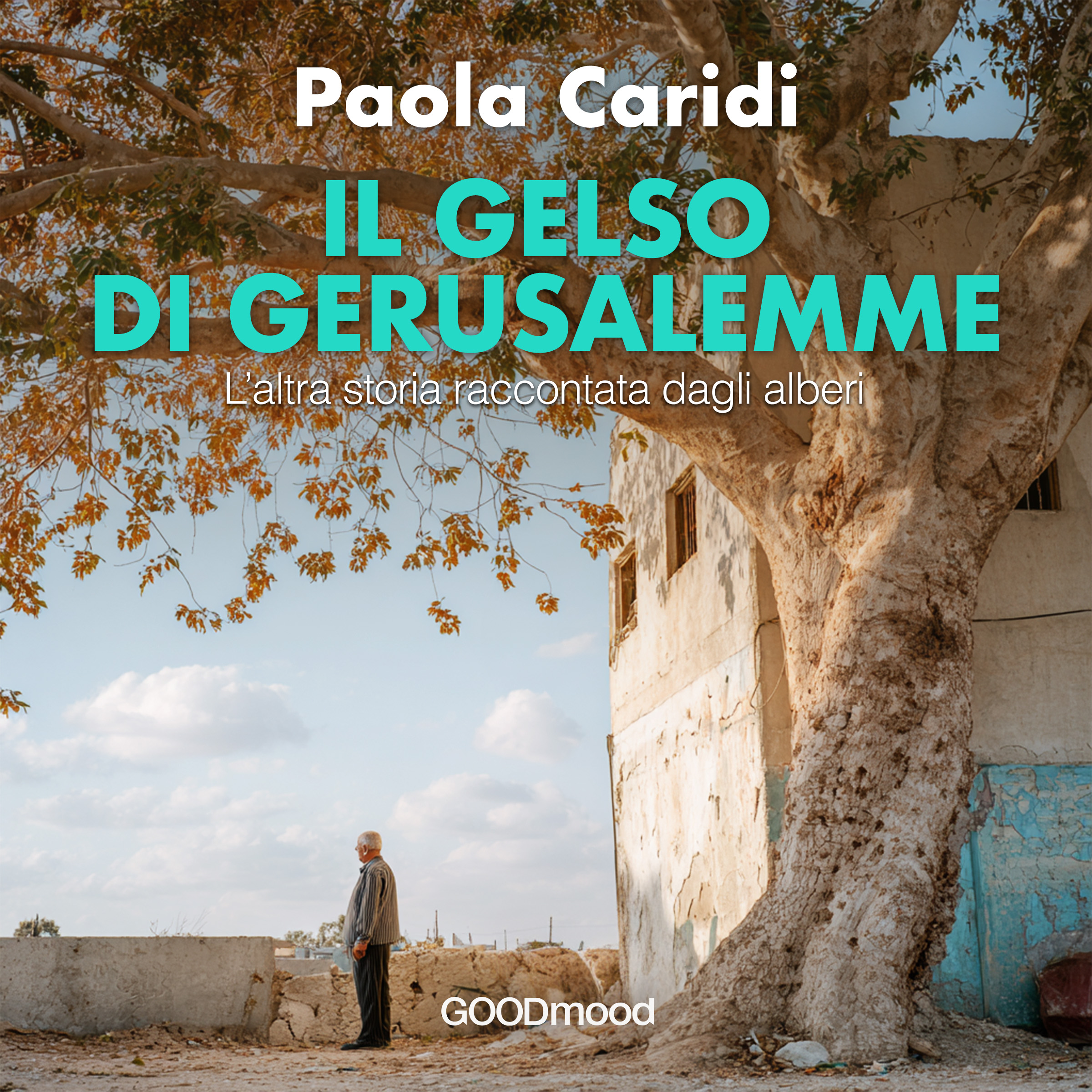 Il gelso di gerusalmme_HD6 Il gelso di gerusalmme_HD6